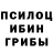 Галлюциногенные грибы MAGIC MUSHROOMS Divara Official