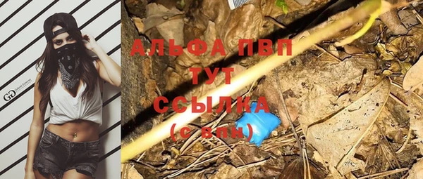 крисы Абаза