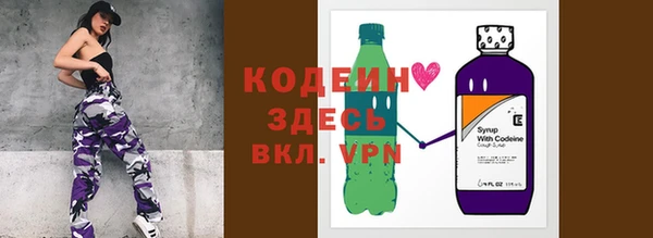 крисы Абаза