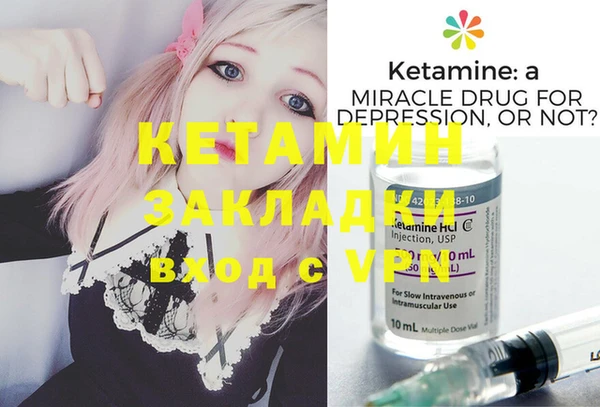 крисы Абаза