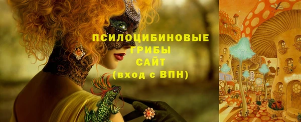 спиды Абинск