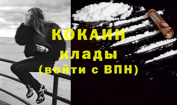 крисы Абаза